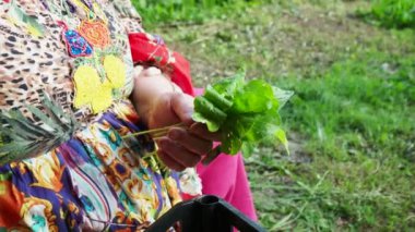 Emilia Romagna 'daki Valdarda dağ kasabası ve üzüm bağları