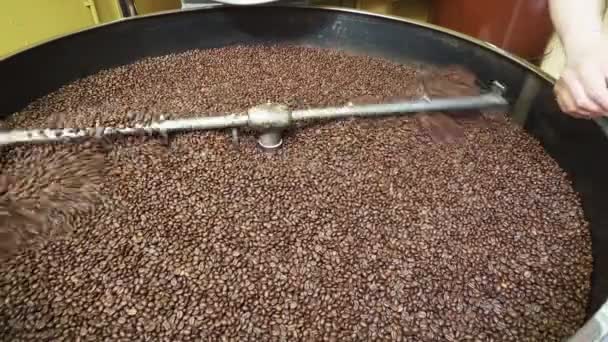 Cokelat Panggang Biji Kopi Macro Closeup — Stok Video