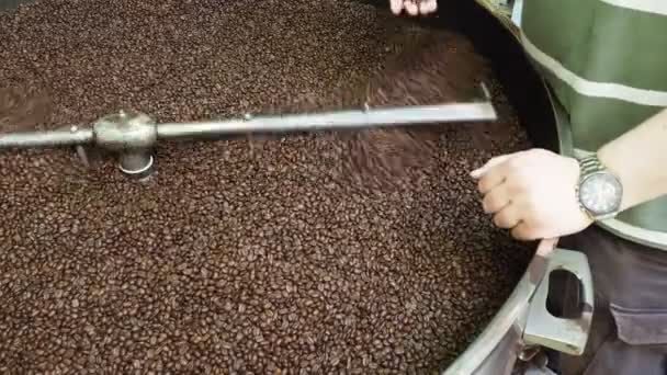 Kahverengi Kahve Çekirdekleri Yakın Plan — Stok video