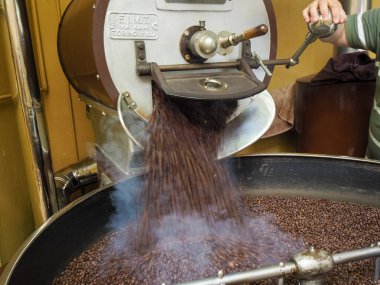 Kosta Rika 'daki biyolojik etik tarımdan çiğ yeşil kahve çekirdekleri İtalya' daki Denti Torrefazione 'de kızartıldı.