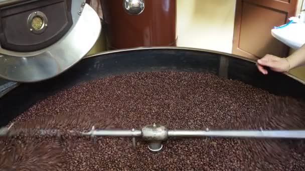 Braune Geröstete Kaffeebohnen Makro Nahaufnahme — Stockvideo