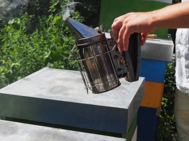 Arı yetiştiricisi arılarla ve arı kovanlarıyla çalışıyor. Arıcılık konsepti. Arı yetiştiricisi arıda bal arıcısı hasat ediyor..