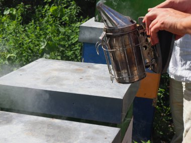 Arı yetiştiricisi arılarla ve arı kovanlarıyla çalışıyor. Arıcılık konsepti. Arı yetiştiricisi arıda bal arıcısı hasat ediyor..