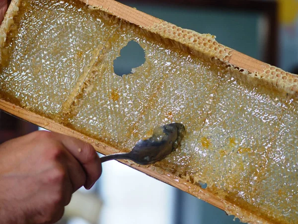 Natural raw honey being filtered ad dripped through a strainer to filter our bees wax.