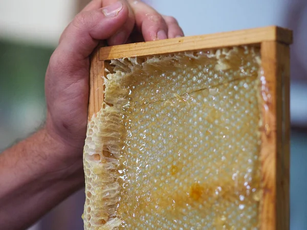 Natural raw honey being filtered ad dripped through a strainer to filter our bees wax.