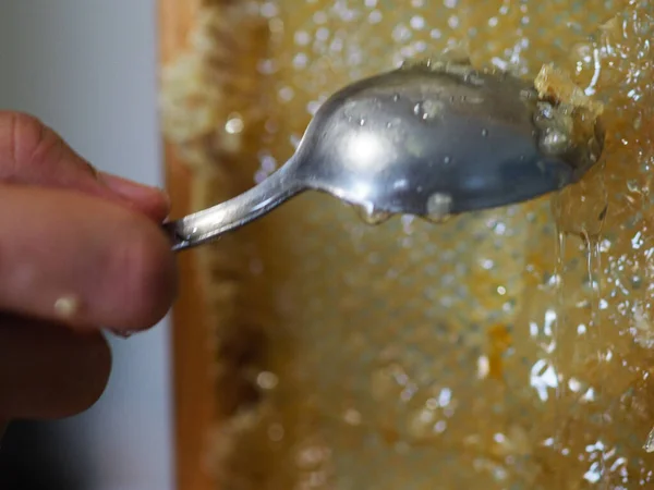 Natural Raw Honey Being Filtered Dripped Strainer Filter Our Bees — Foto Stock