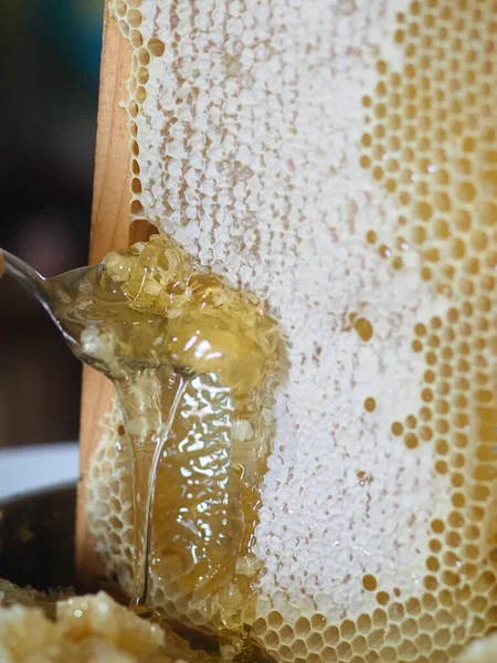 Natural raw honey being filtered ad dripped through a strainer to filter our bees wax.