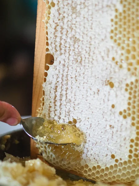 Natural raw honey being filtered ad dripped through a strainer to filter our bees wax.