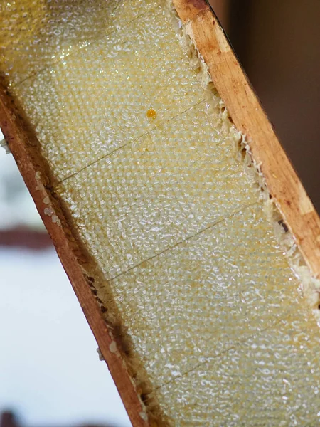 Natural raw honey being filtered ad dripped through a strainer to filter our bees wax.