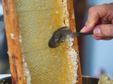 Doğal çiğ bal arılarımızı filtrelemek için süzgeçten damlayan bir reklam..