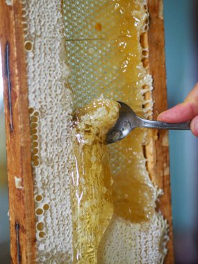 Doğal çiğ bal arılarımızı filtrelemek için süzgeçten damlayan bir reklam..