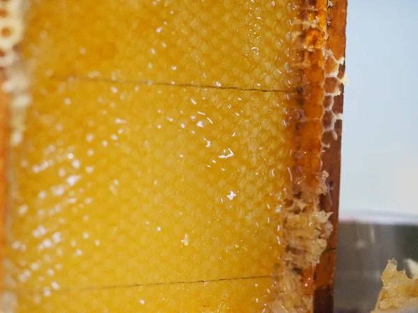 Natural raw honey being filtered ad dripped through a strainer to filter our bees wax.