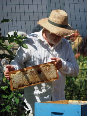 Arı yetiştiricisi arılarla ve arı kovanlarıyla çalışıyor. Arıcılık konsepti. Arı yetiştiricisi arıda bal arıcısı hasat ediyor..