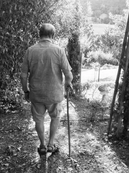 old man with sky pole walking around in garden and farm in summer season