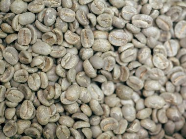 raw green coffee beans from bio ethical agriculture in costa rica