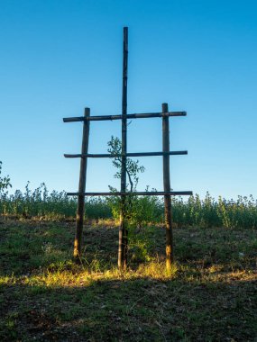 Piacenza, İtalya 'daki meyve ağacı bahçesi.