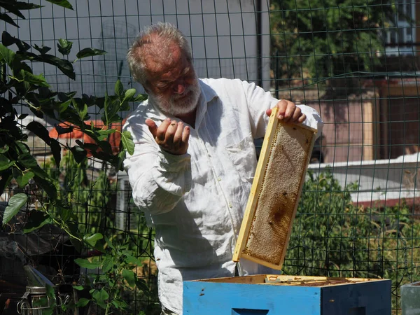 Arı yetiştiricisi arılarla ve arı kovanlarıyla çalışıyor. Arıcılık konsepti. Arı yetiştiricisi arıda bal arıcısı hasat ediyor..