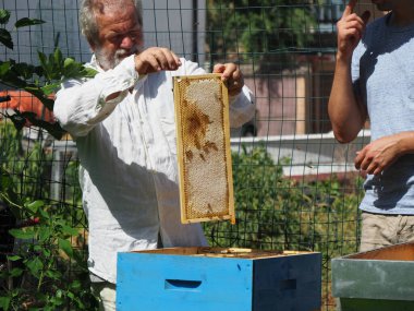 Arı yetiştiricisi arılarla ve arı kovanlarıyla çalışıyor. Arıcılık konsepti. Arı yetiştiricisi arıda bal arıcısı hasat ediyor..