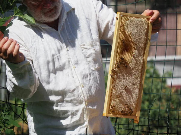Imker Werkt Met Bijen Bijenkorven Bijenstal Bijenteeltconcept Bijenhouder Oogst Honing — Stockfoto