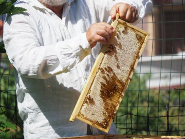 Arı yetiştiricisi arılarla ve arı kovanlarıyla çalışıyor. Arıcılık konsepti. Arı yetiştiricisi arıda bal arıcısı hasat ediyor..