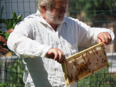 Arı yetiştiricisi arılarla ve arı kovanlarıyla çalışıyor. Arıcılık konsepti. Arı yetiştiricisi arıda bal arıcısı hasat ediyor..