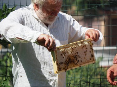 Arı yetiştiricisi arılarla ve arı kovanlarıyla çalışıyor. Arıcılık konsepti. Arı yetiştiricisi arıda bal arıcısı hasat ediyor..