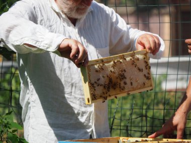 Arı yetiştiricisi arılarla ve arı kovanlarıyla çalışıyor. Arıcılık konsepti. Arı yetiştiricisi arıda bal arıcısı hasat ediyor..