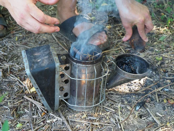 Starting Bee Smoker Harvesting Honey Hives Farm — Stockfoto