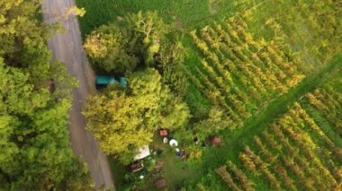 Adam çiftlikte testere ile odun kesiyor. Medeniyetten uzakta bir hayat. Yakacak odun topluyorum.