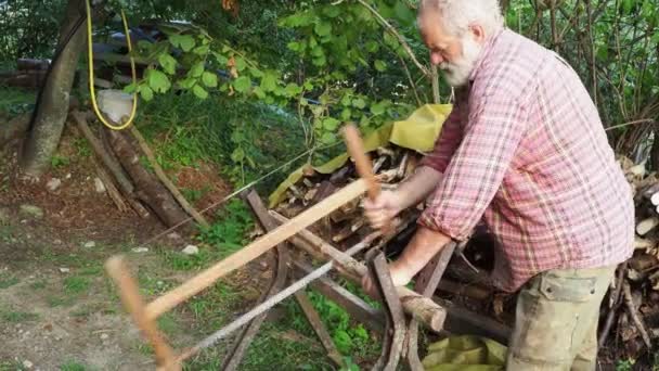 Hombre Sierras Tronco Con Sierra Mano Granja Trabajo Aire Libre — Vídeo de stock