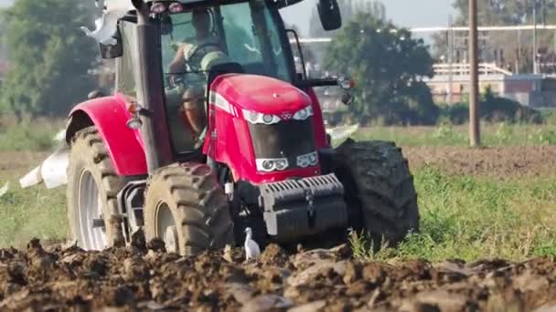 Video Del Tractor Rojo Arando Tierra Campo — Vídeo de stock