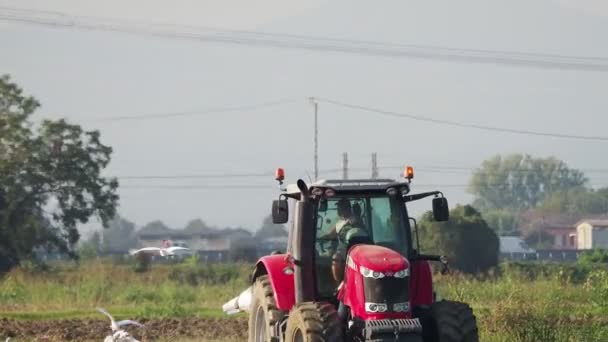 Video Del Tractor Rojo Arando Tierra Campo — Vídeo de stock