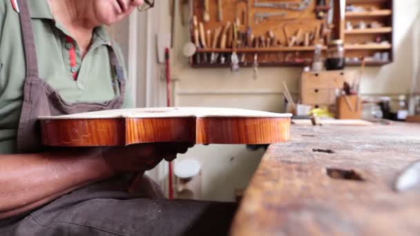 Violinmaker Work His Italian Workshop — Stock Video