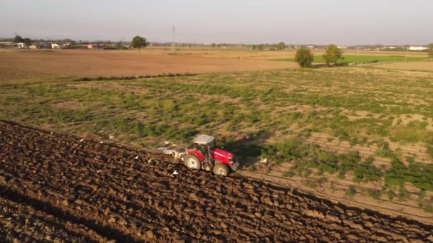 Video Del Tractor Rojo Arando Tierra Campo — Vídeo de stock