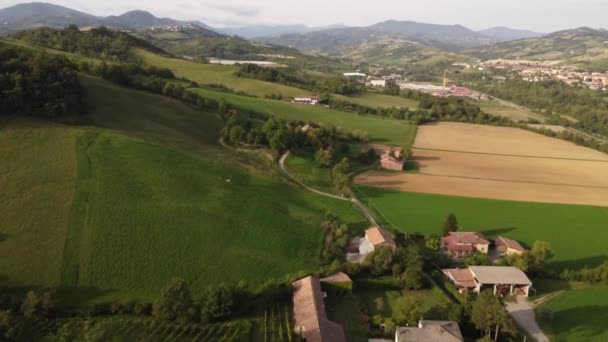 Drone Video Ekologická Sklizeň Bio Řepky Arda Valley Piacenza Itálie — Stock video