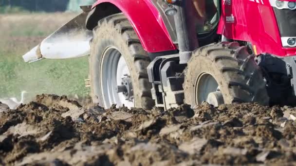 Video Del Tractor Rojo Arando Tierra Campo — Vídeos de Stock