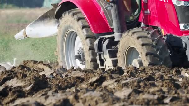 Vídeo Trator Vermelho Arar Terra Campo — Vídeo de Stock