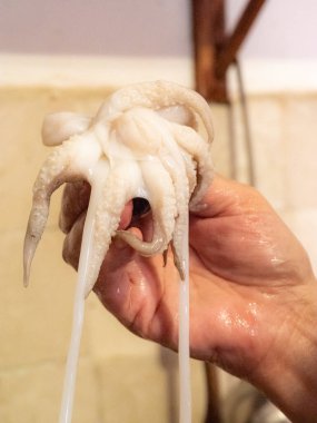 Numana, Marche, İtalya 'da çiğ deniz anası temizliği.