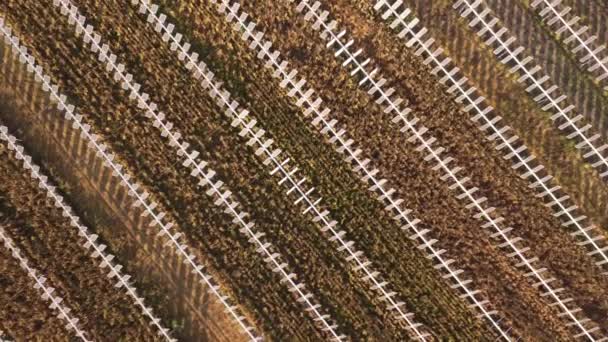 Açık Hava Güneş Fotovoltaik Pannels Kırsal Talya Hava Drone Görüntüleri — Stok video
