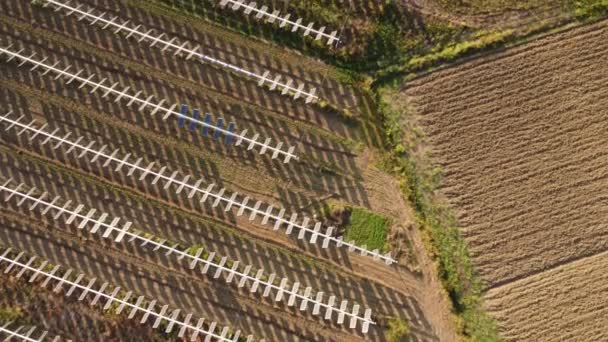 Авіаційні Безпілотні Кадри Сонячних Фотогальванічних Панелей Сільській Італії — стокове відео