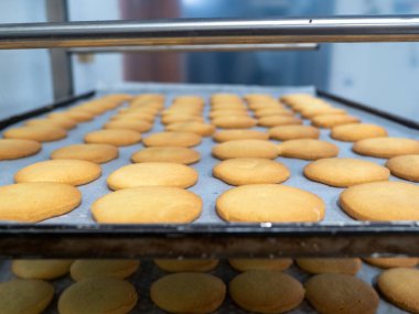 Bir laboratuarın mutfağında fırıncı yemek pişiriyor.