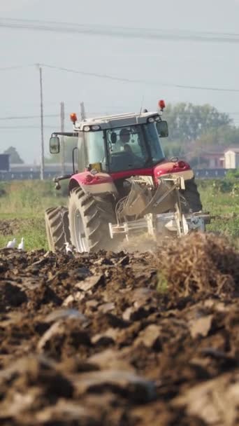 Video Rød Traktor Som Pløyer Landet Landet – stockvideo