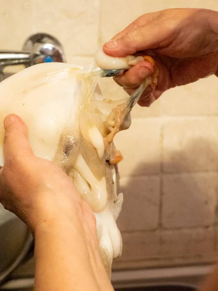 Уборка Сырой Адриатической Каракатицы Дома Нумане Марке Италия — стоковое фото