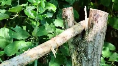 Doğal ahşap parçalarından yapılmış bir bahçe kapısı.