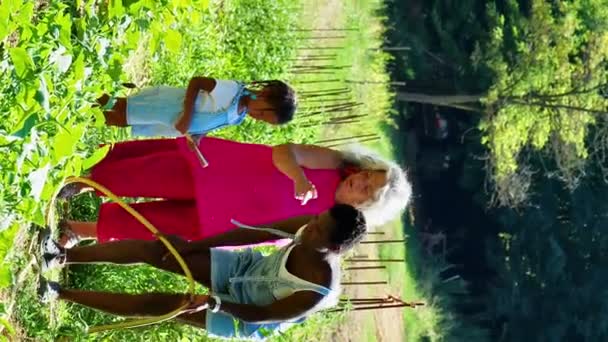 Mujeres Tres Generationmultiracial Farmily Aire Libre — Vídeos de Stock