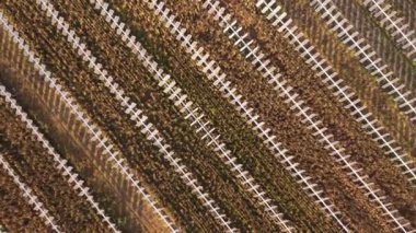 Açık hava güneş fotovoltaik pannels kırsal İtalya 'da hava drone görüntüleri