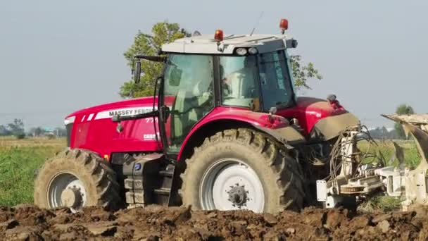 Videó Piros Traktor Szántás Föld Vidéken — Stock videók