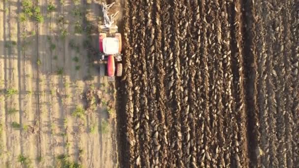 田舎の土地を耕す赤いトラクターの4Kビデオ — ストック動画