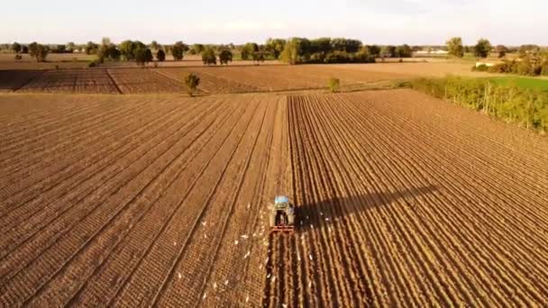 Agricultor Con Terreno Nivelado Tractor Campo Piacenza Italia Material Archivo — Vídeo de stock