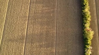 Piacenza 'nın kırsal kesiminde araziyi düzleştiren traktörlü çiftçi, İtalya görüntüsü